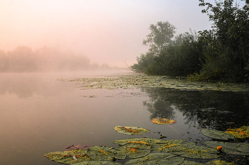 Лето. Август. / Озеро Студёное.