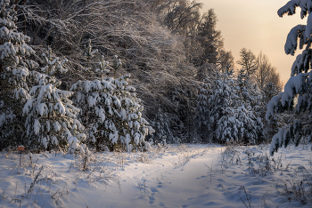 Под вечер после сногопада / Январские зарисовки