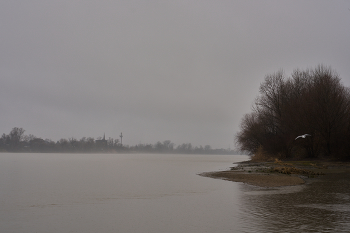ненастье / дождь зарядил на весь день