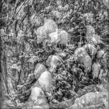 Жизнь вокруг / ***