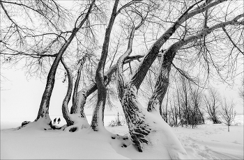 В зимний полдень. / ***