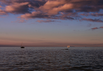В лучах уходящего солнца / ***