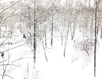 Графический февраль / ***