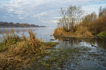 Осень на Оке. / ***