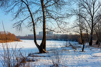 Зимний Дон. / ***