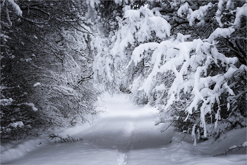 Зимний день / Анапа в январе