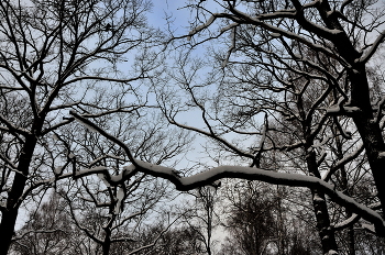 &nbsp; / В городском парке...
