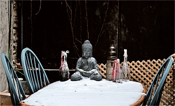 &nbsp; / ..........................................