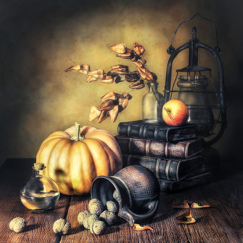 Солнечный день / ***