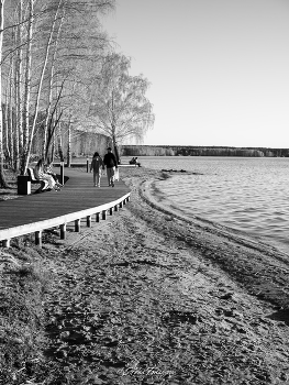Берег озера в чёрно-белой гамме / ***