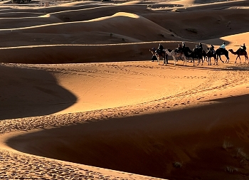 &nbsp; / Caravan in the Desert Sahara sand dunes