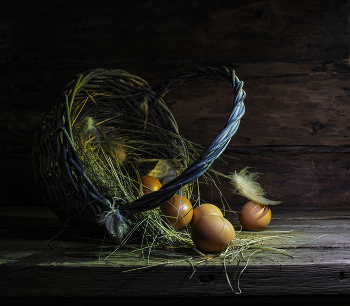 В курятнике / ***