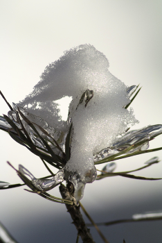 Состояния воды / ***