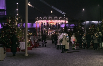 В парке культуры им. Горького / Москва, январь 2026