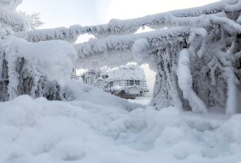 Картины зимы / ***