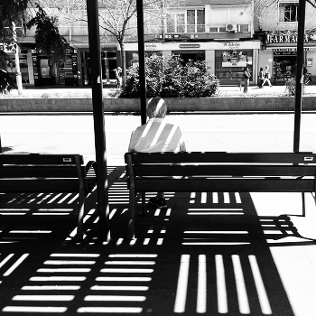 Жизнь вокруг полосатая / ***