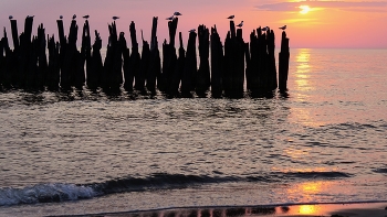 Мелодия заката / Балтийское море Швентойи Литва