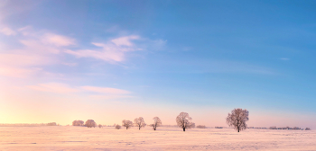 Зимние лаконичности / ***