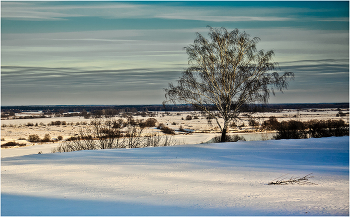 Березка / ***