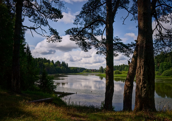 Летний день / летний день на реке Кубань притоке Волги