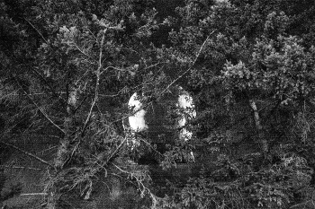 Пейзажизнь / ***