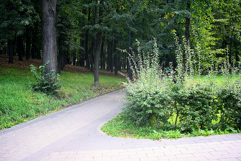 Люблино / Люблинский парк в Москве. Август 2024.