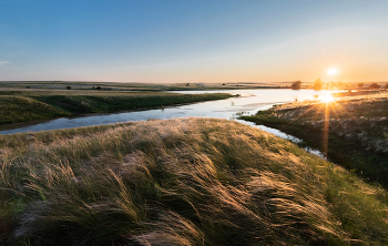 Степные картинки / ***
