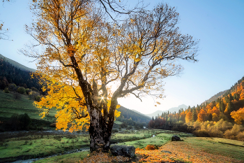 &nbsp; / Абхазия. Октябрь.