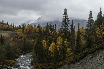 Заполярная осень............ / Заполярье. Хибины. Куэльпорр. Река Кунийок. Сентябрь