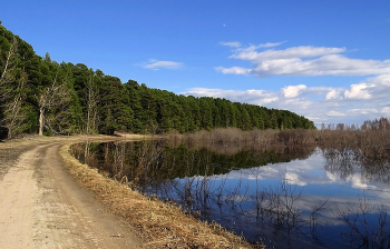 Бор кедровый / Кедровый бор, расположенный близ деревни Луговское Нарымского поселения (Парабельский район, Томская область). Этот лес является частью Луговской лесной дачи — ценного природного объекта площадью 1500 га, находящегося в 3 км от села Нарым. Состав леса:
доминируют сосна кедровая сибирская и сосна обыкновенная (основные породы);
встречаются примеси берёзы и ели;
в некоторых участках есть пихта сибирская . Возраст деревьев: насаждения преимущественно одновозрастные, возраст древостоев колеблется от 60 до 200 лет, наиболее распространён IV класс возраста (121–160 лет) Кедровник Относится к особо охраняемым природным территориям.