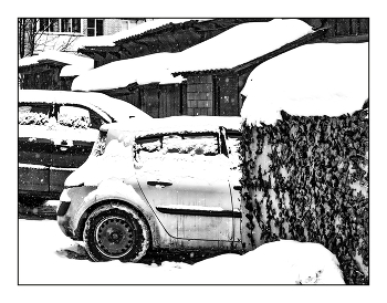 Снежная коммуналка / Холодный приют