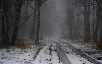 Туманное утро / Оттепель