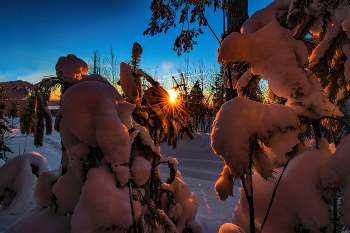 Утреннее солнце / ***
