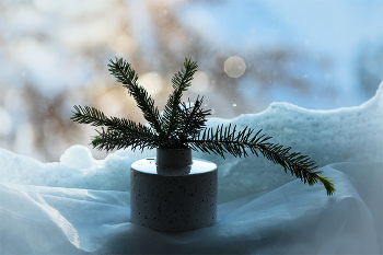 А за окном зима... / Натюрморт.