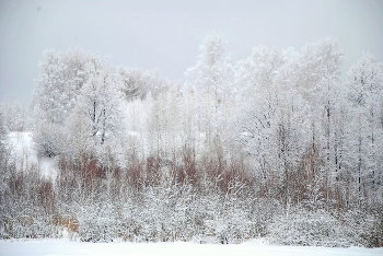 Просто это - Зима! / Зима во всей красе.
