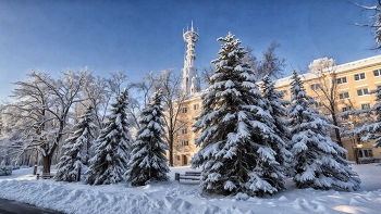 Замерзшая / Сильные морозы сказались даже на вышке..