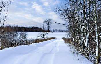 Ночь метельная дорожку замела. / ***
