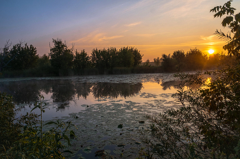 Летом. / Озеро Студёное.
