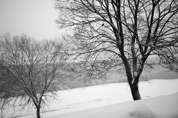 ч/б снегопад 2 / ***