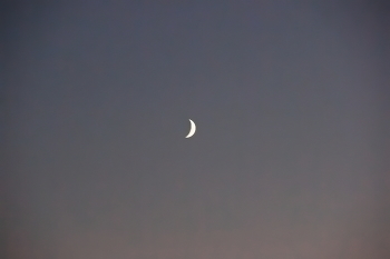 Растущий / ***