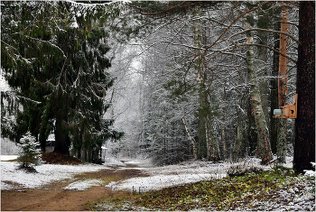 Предзимье / ***