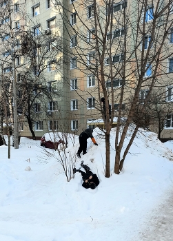 Люберцы (Московская область) / ***