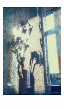 &nbsp; / ирисы на подоконнике