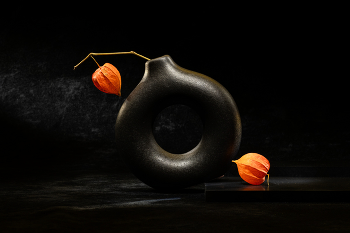 Этюд с физалисом IX / 2026