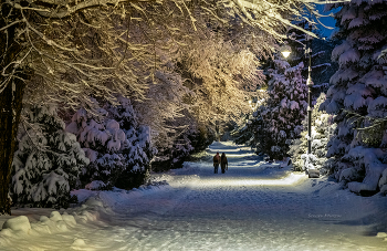 Зимний вечер. / Вечерний променад.