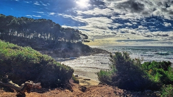 &nbsp; / Tarragona - La Mora - Bosc de la Marquesa - Tarragonès