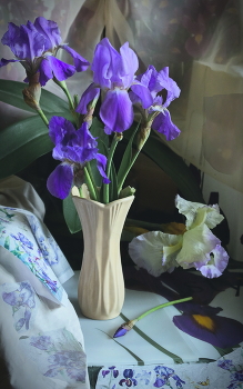 Любимые ирисы / Любимых ирисов ещё долго ждать...