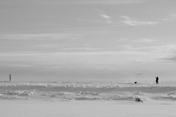 Собака, которая была далеко. / ***