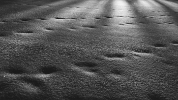 Жизнь вокруг / ***