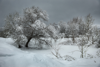 Утро после мокрого снега. / Февральские подарки природы